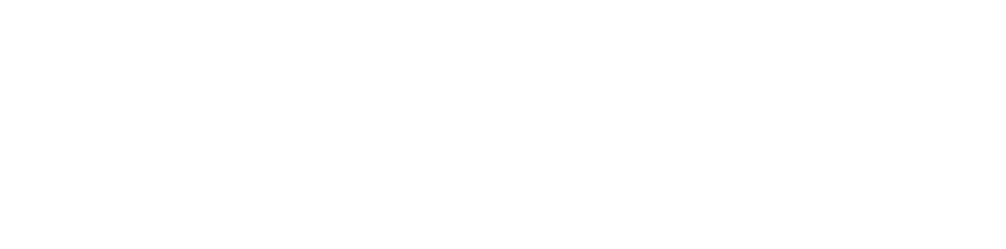 pdx-logo-white